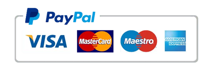 PayPal Payment with cards